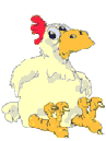 Gallo06.gif