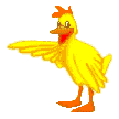 Gallo12.gif