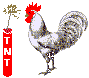 Gallo20.gif