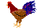 Gallo24.gif