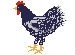 Gallo36.gif