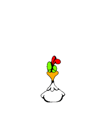 Gallo40.gif