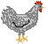Gallo41.gif