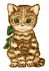 gato105.gif