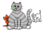 gato107.gif