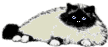 gato11.gif
