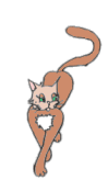 gato110.gif