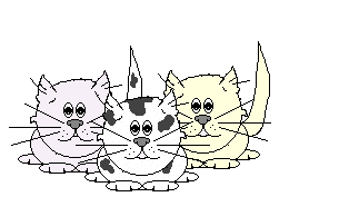 gato114.gif