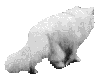 gato116.gif
