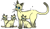 gato129.gif