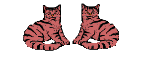 gato134.gif