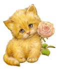 gato140.gif