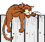gato153.gif