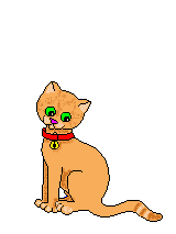 gato204.gif