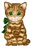gato212.gif