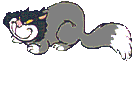gato52.gif