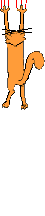 gato72.gif