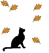gato86.gif