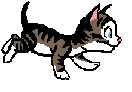 gato98.gif
