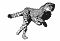 guepardo03.gif