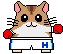 hamster04.gif