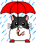 hamster09.gif