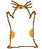 hamster11.gif