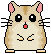 hamster12.gif