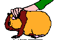 hamster14.gif