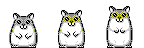 hamster17.gif