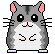 hamster18.gif