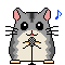 hamster24.gif
