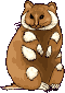 hamster26.gif
