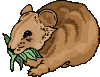 hamster27.gif