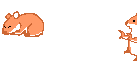 hamster28.gif