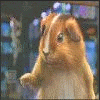 hamster36.gif