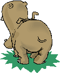 hippopotamo01.gif