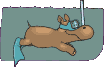 hippopotamo13.gif