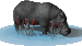 hippopotamo41.gif
