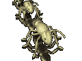 hormiga04.gif
