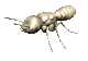 hormiga15.gif