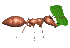 hormiga18.gif