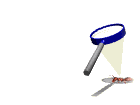 hormiga37.gif