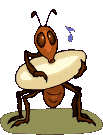 hormiga39.gif