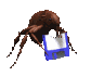 hormiga43.gif