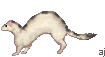 huron04.gif