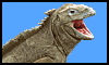 iguana01.gif