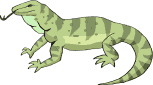 iguana03.gif
