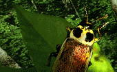 isectos08.gif