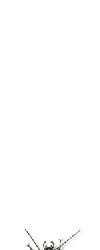 isectos12.gif